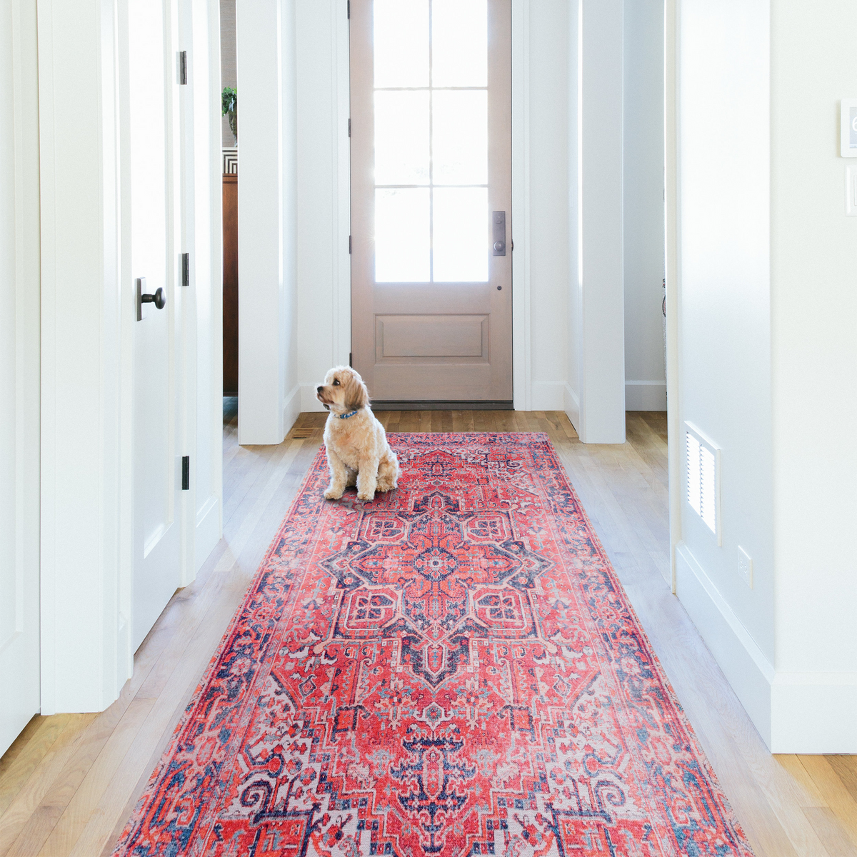 Tapis Classique Vintage Bordeaux Lavable Oriane, vue 3