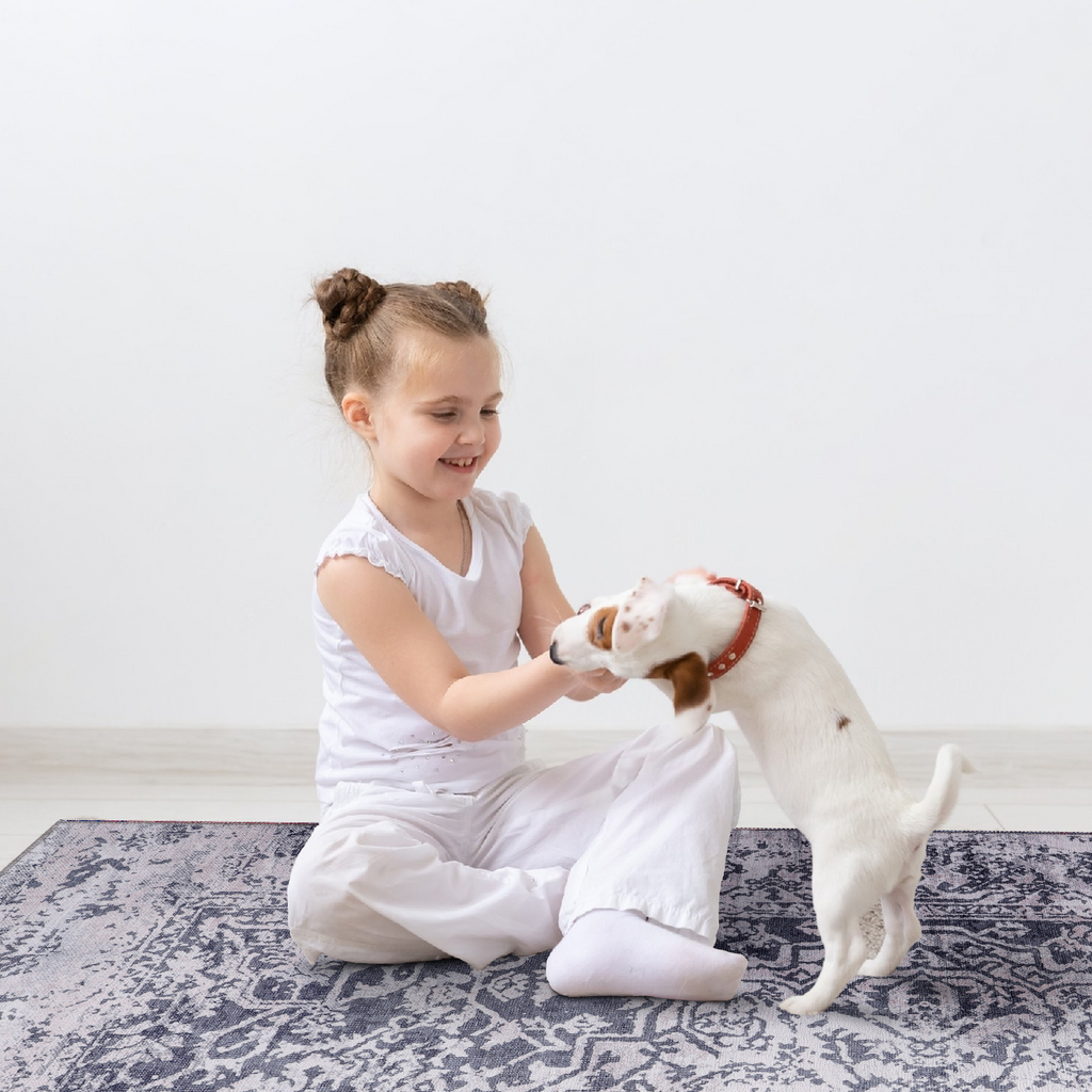 Tapis Vintage Crème et Blanc Lavable Éloi, vue 5